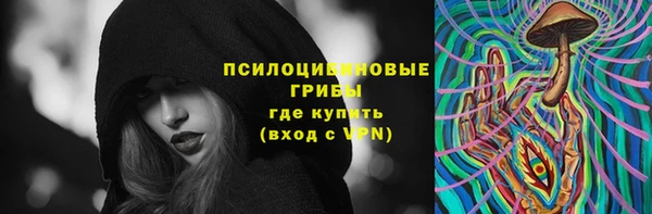 дмт Касимов