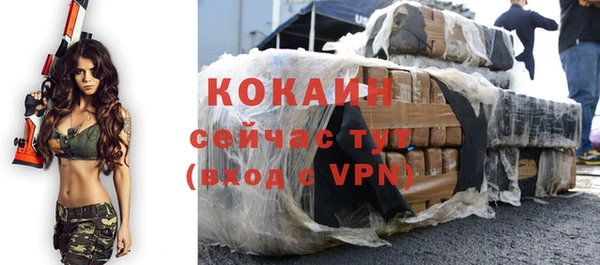 дмт Касимов