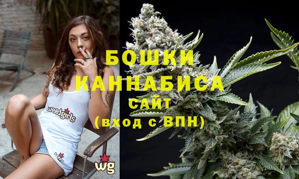 дмт Касимов