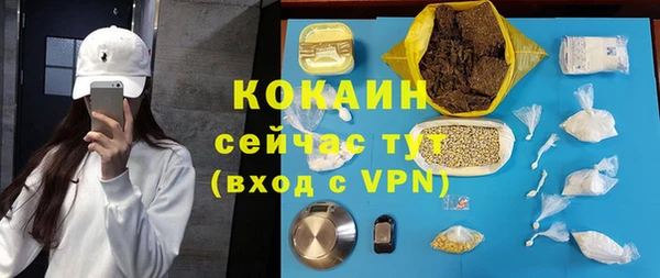 дмт Касимов