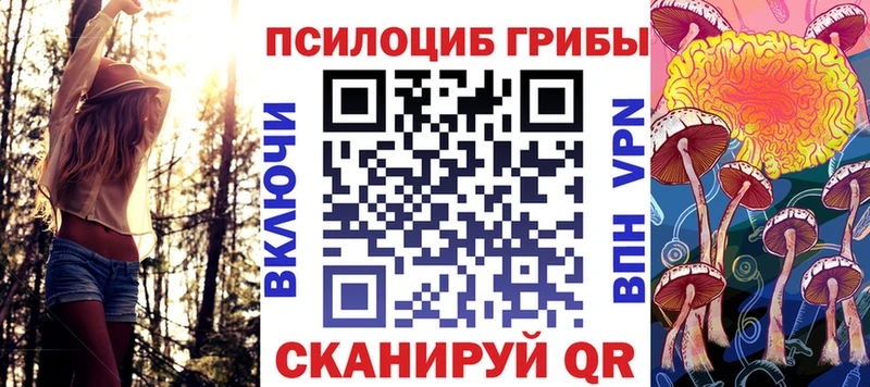 mega как зайти Кедровый Псилоцибиновые грибы Cubensis